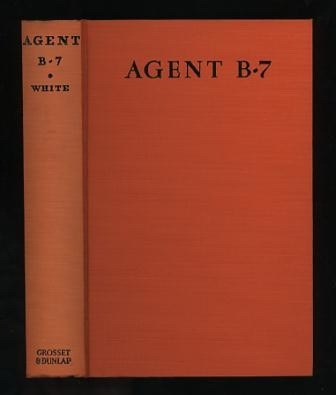 Image for Agent B-7: A Story of the American Secret Service