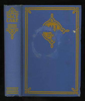 Image for Salt Lake