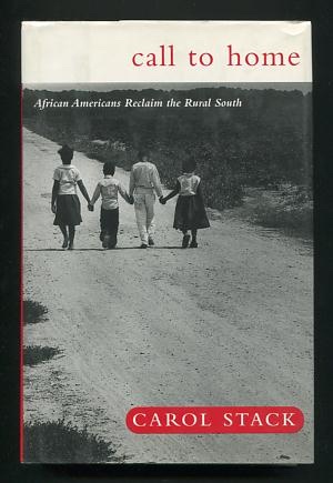 Image for Call to Home: African Americans Reclaim the Rural South